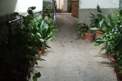 WhatsApp-Image-2025-05-03-at-16.22.42-1 WhatsApp-Image-2025-05-03-at-16.22.42-1