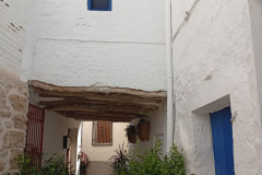 WhatsApp-Image-2025-05-03-at-16.22.42-2 WhatsApp-Image-2025-05-03-at-16.22.42-2