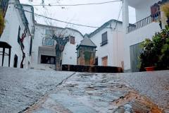 WhatsApp-Image-2025-05-03-at-16.22.42-3 WhatsApp-Image-2025-05-03-at-16.22.42-3