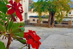 WhatsApp-Image-2025-05-03-at-16.22.44-2 WhatsApp-Image-2025-05-03-at-16.22.44-2