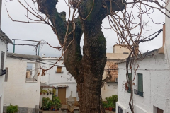 WhatsApp-Image-2025-05-03-at-16.22.44 WhatsApp-Image-2025-05-03-at-16.22.44