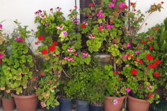 WhatsApp-Image-2025-05-03-at-16.22.45-3 WhatsApp-Image-2025-05-03-at-16.22.45-3