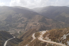 WhatsApp-Image-2025-05-03-at-16.22.45-4 WhatsApp-Image-2025-05-03-at-16.22.45-4