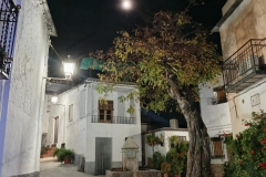 WhatsApp-Image-2025-05-03-at-16.22.45 WhatsApp-Image-2025-05-03-at-16.22.45